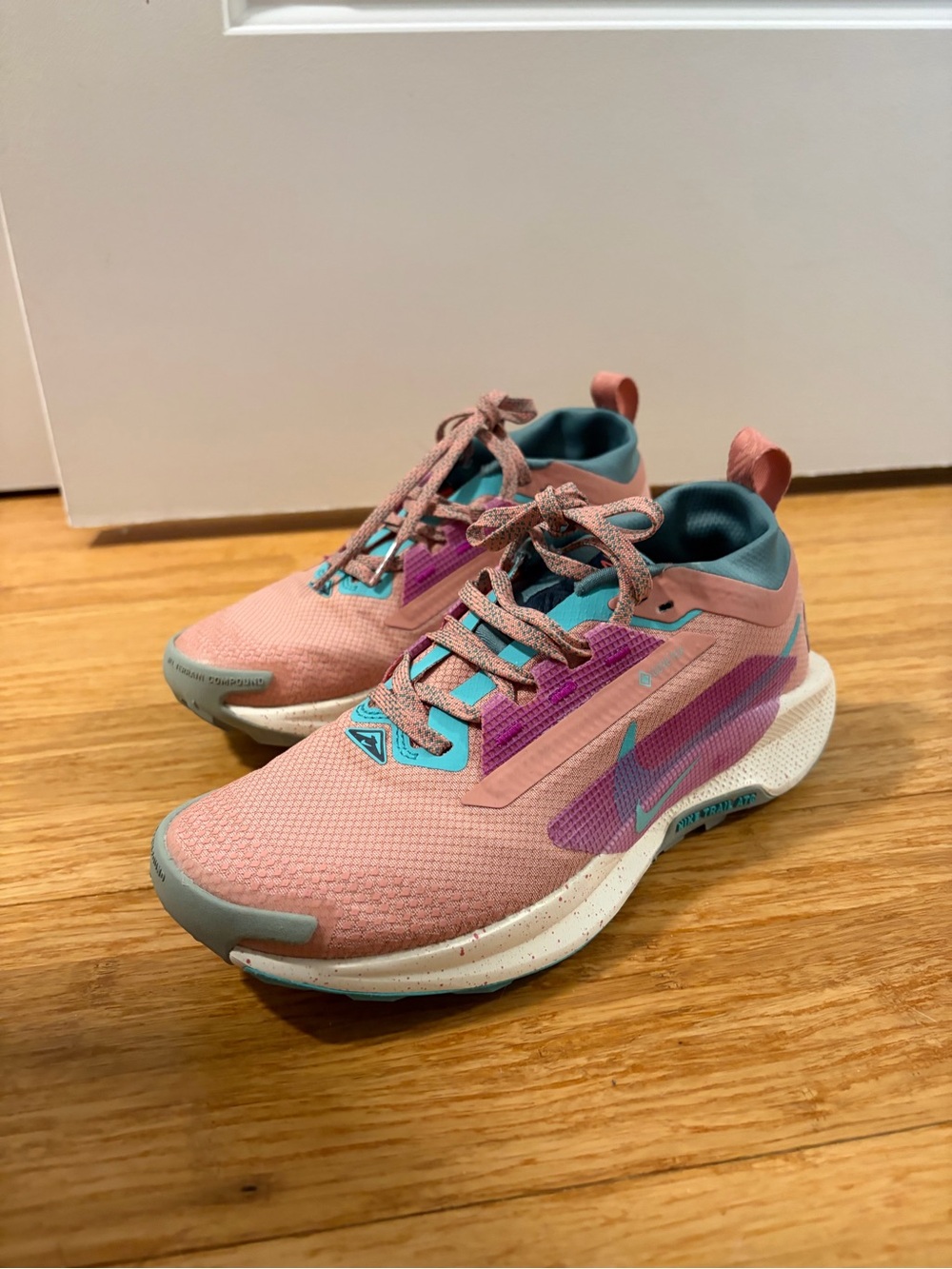 Nike Women’s Pegasus 5 Goretex Trail Running Shoes